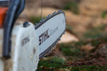 Фотография к новости: Вместо учебы срок: мужчина с бензопилой совершил разбойное нападение на АЗС