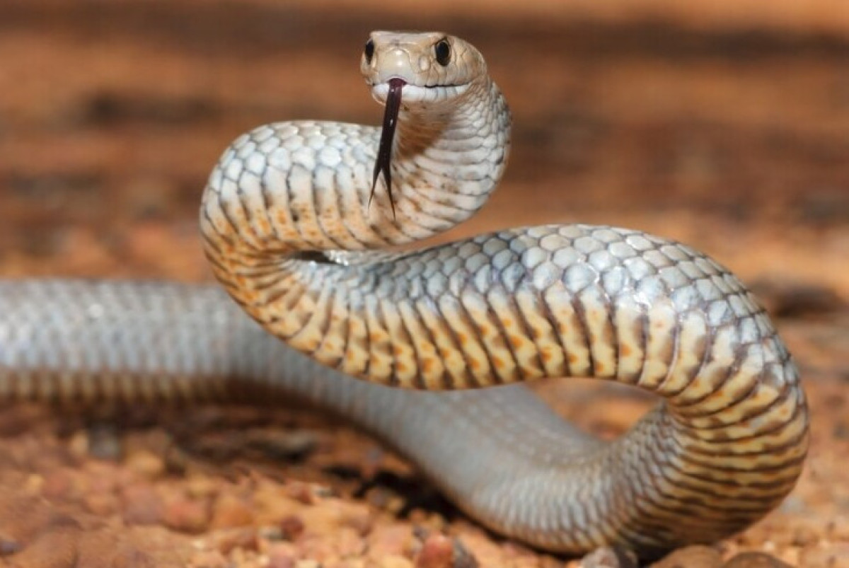 Kay Nietfeld\dpa/picture-alliance\TASS