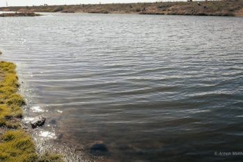 Фотография к новости: "Не дать себе засохнуть": останется ли Казахстан без воды?