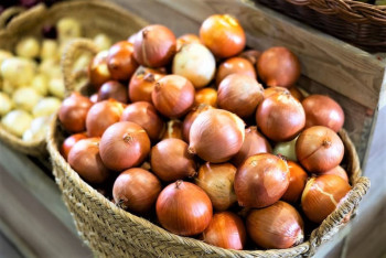 Фотография к новости: Подсудимый пожаловался на высокие цены в СИЗО Костаная