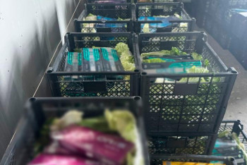 Фотография к новости: Сигареты в овощах пытались вывезти из Казахстана