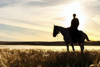 Уехал на лошади и пропал: 15-летнего подростка отыскали в Костанайской области