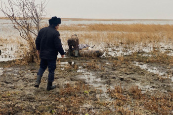 Фотография к новости: Пропавшего в Костанайской области рыбака нашли спящим на берегу озера