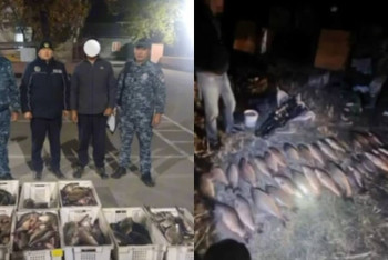 Фотография к новости: Рыбу на полмиллиона тенге наловили браконьеры в Алматинской области