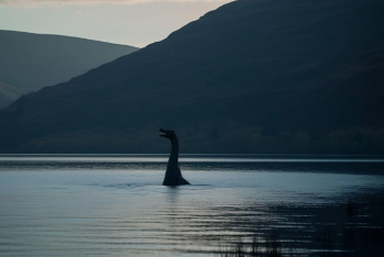 Фотография к новости: В казахстанском озере обитает чудовище?