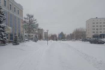 Фотография к новости: Мощный снегопад, ветер и мороз: зима накрыла часть Казахстана