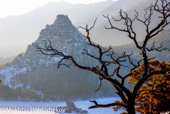 Фотография к новости: Казахстан вошёл в топ-5 желаемых новых направлений для туристов со всего мира