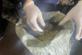 Фотография к новости: Двоих казахстанцев задержали при сбыте огромной партии марихуаны