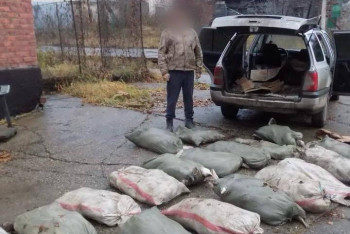Фотография к новости: Поймался на крючок: свыше 200 кг рыбы незаконно перевозил житель ВКО