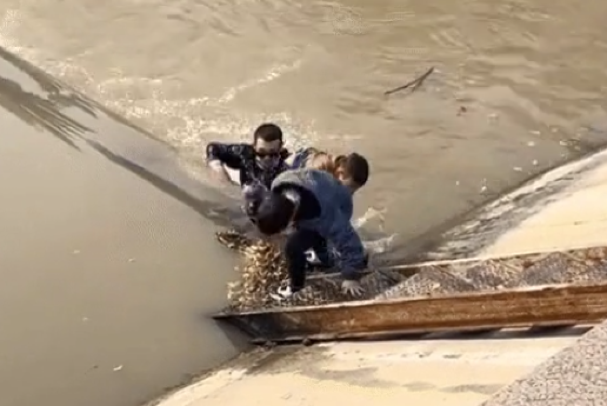 скриншот из видео