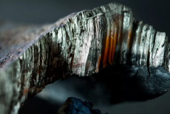 Фотография к новости: В Казахстане создадут кластер с полным циклом производства редких металлов