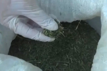 Фотография к новости: Более 12 кг наркотиков нашли у машиниста на станции Шу