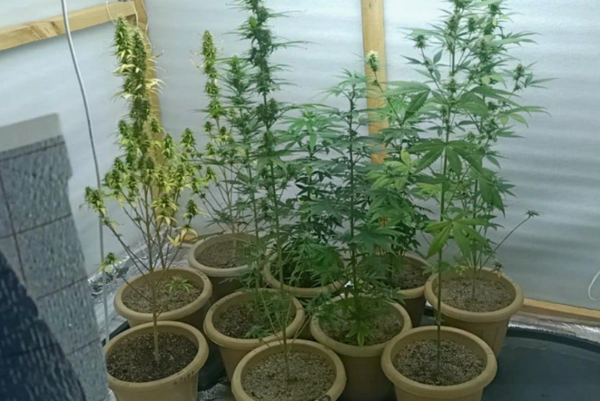 ДП Жетысуской области