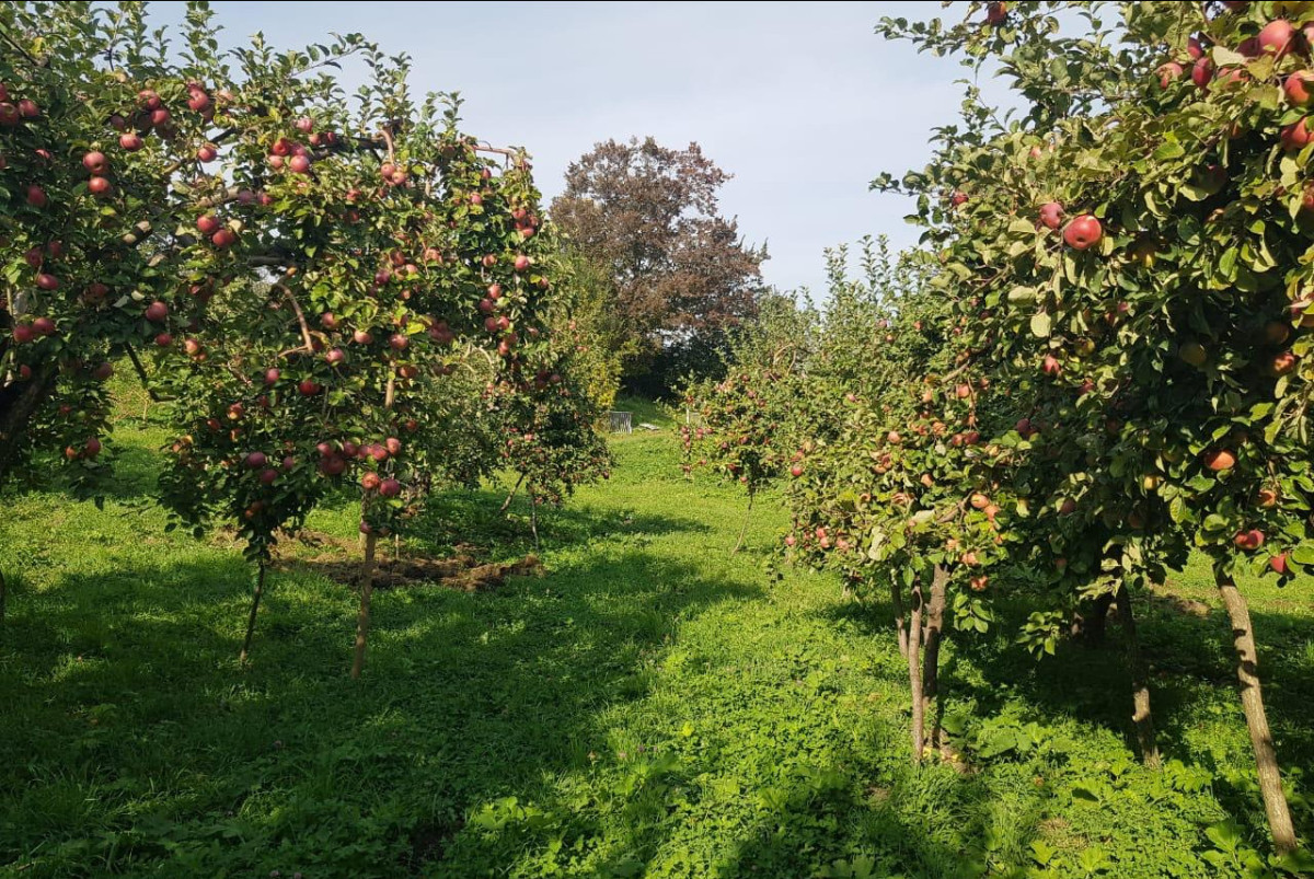 из личного архива Ивана Сергеева