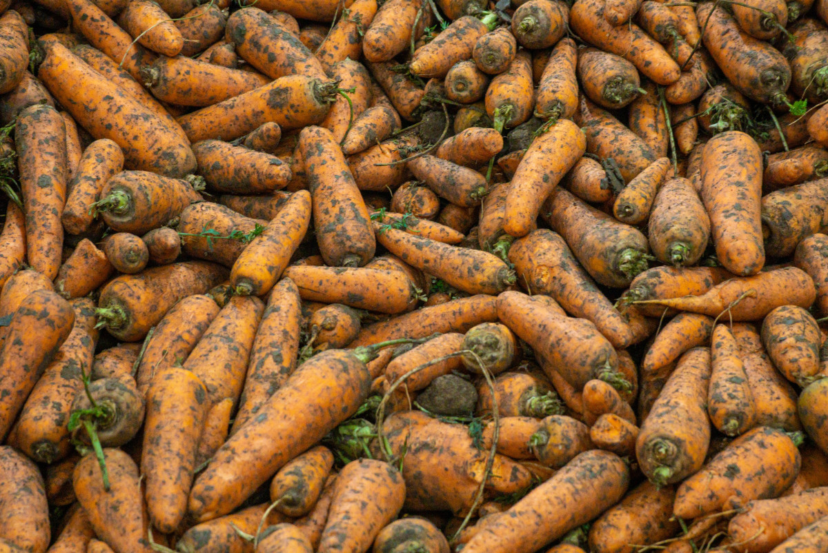 Рахиля Рыспеккызы