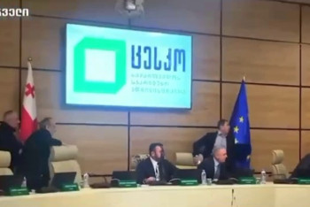 Фотография к новости: Главу центризбиркома Грузии облили чёрной краской