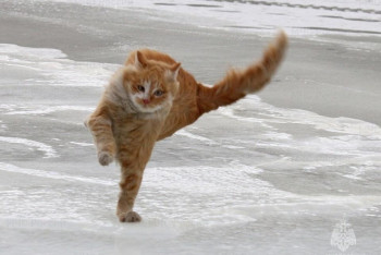 Фотография к новости: Туман и гололёд: штормовое предупреждение объявлено в ряде областей