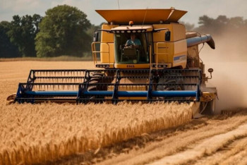 Фотография к новости: Олжас Бектенов поручил выдавать займы аграриям с начала декабря