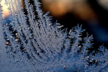Фотография к новости: Морозы до 23 градусов ожидают жителей некоторых областей Казахстана