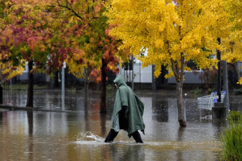 Фотография к новости: Мощный шторм с дождем и снегопадом бушует в Калифорнии, есть жертвы