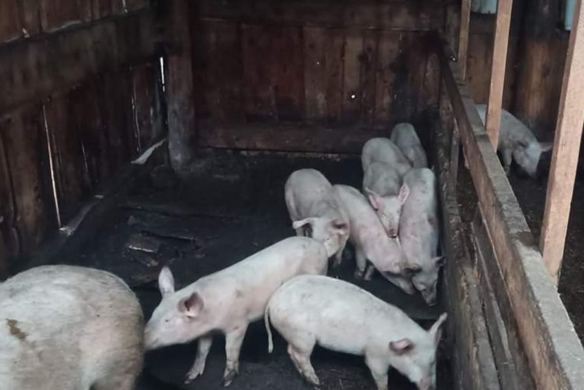 прокуратура Красноярского края