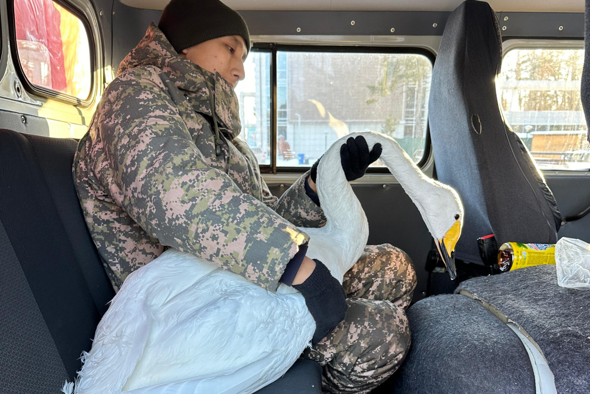 зоосад курорта Бурабай