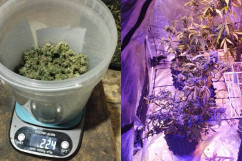 Фотография к новости: Нарколабораторию организовал у себя дома житель Акмолинской области