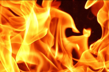 Фотография к новости: База отдыха загорелась в Восточно-Казахстанской области