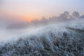 Фотография к новости: Заблудившегося в тумане пастуха спасли в Кызылординской области