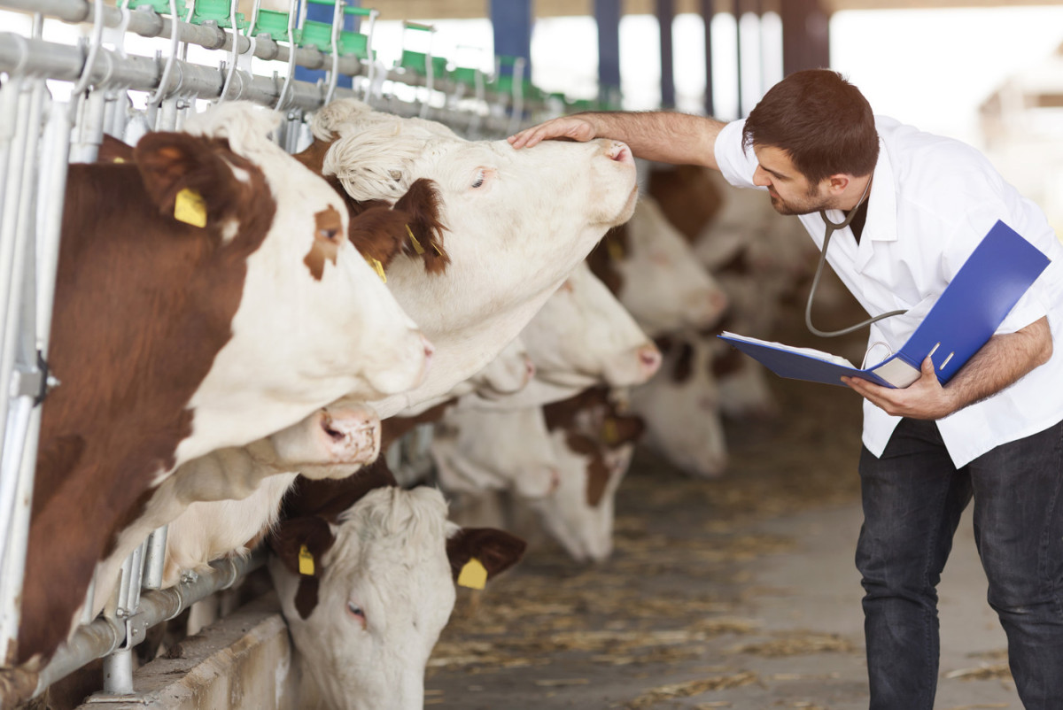 иллюстрация AP Images/European Union - EP