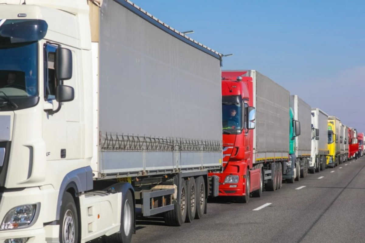 иллюстративное sb.by