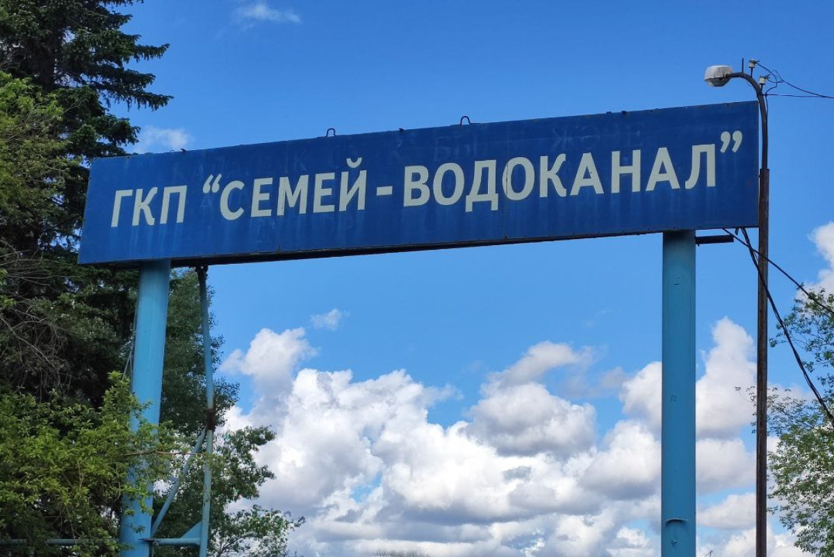 Альбина Халел