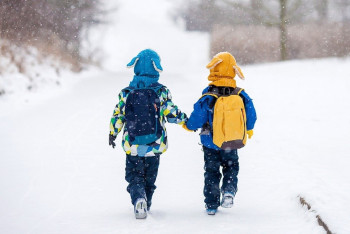 Фотография к новости: Занятия 0-4 классов с первой смены перевели в дистанционный формат в Астане
