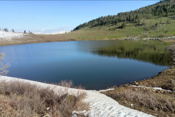 Фотография к новости: Как развивается туризм в Катон-Карагайском нацпарке