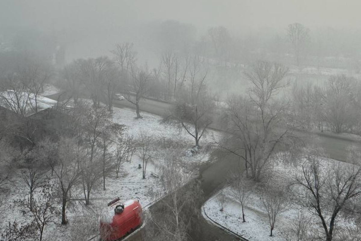 Архив Юлия Чернявская.