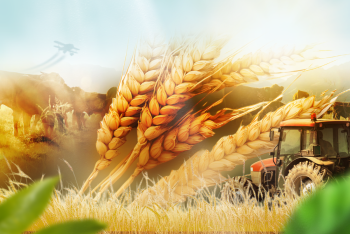 Фотография к новости: Климат и грамотные агротехнологии: Депутат рассказал о рекордных урожаях Казахстана