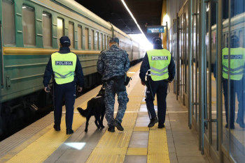 Фотография к новости: Железнодорожник выращивал марихуану в ВКО