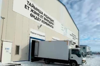 Фотография к новости: Казахстан начал экспортировать мясо в Армению