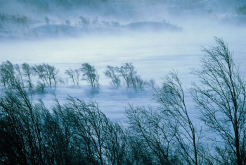 Фотография к новости: Метели и гололёд ожидаются в Казахстане