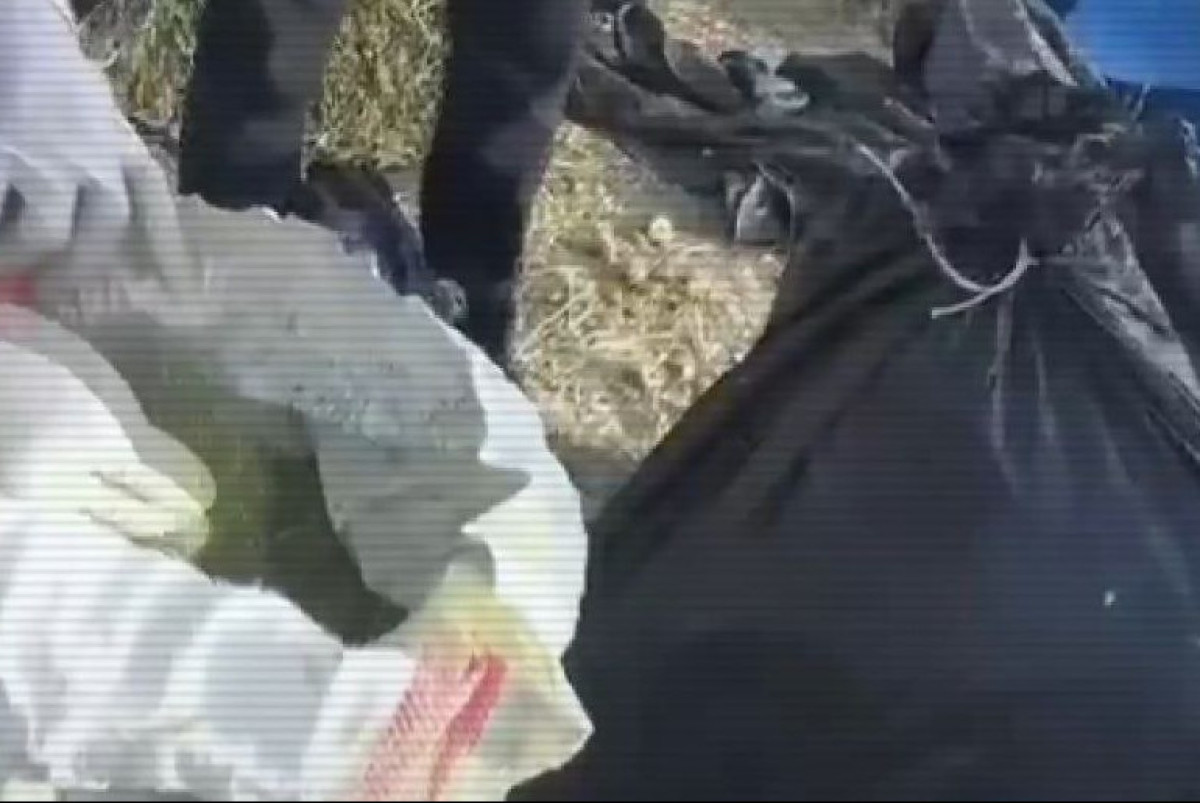 кадр из видео