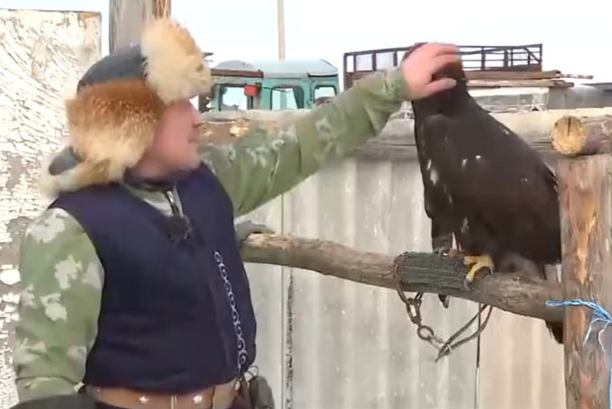 скриншот из видео