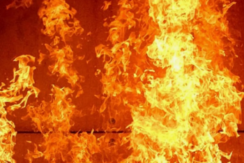 Фотография к новости: Крупный пожар ликвидировали в Талгаре