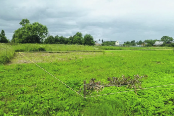Фотография к новости: Земли для госнужд незаконно изымали у жителей Кызылорды