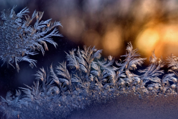 Фотография к новости: Мороз и снег с дождем: стал известен прогноз погоды на три дня по Астане и Шымкенту