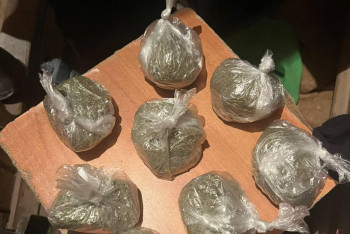 Фотография к новости: Житель Костаная хранил гашиш в мебельном цехе