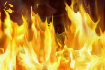 Фотография к новости: Цветочный магазин сгорел в Алматы