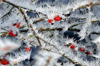 Фотография к новости: Резкое похолодание ожидается в некоторых регионах Казахстана