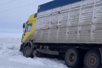 Фотография к новости: Водителей из Кызылорды спасли на трассе в Акмолинской области