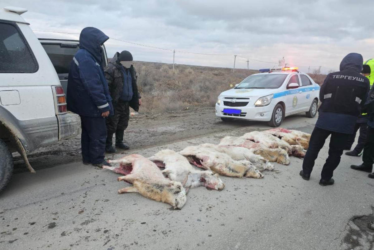 Минэкологии РК