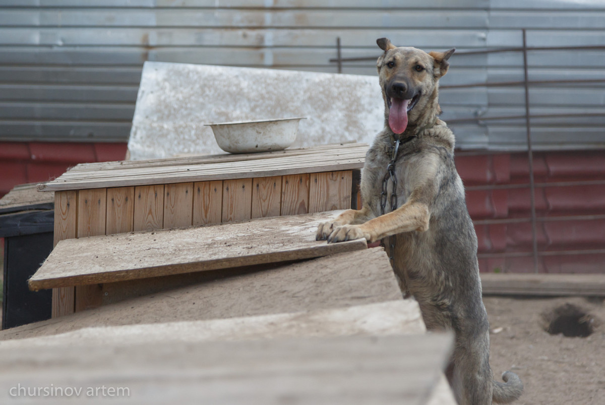 Артём Чурсинов/BaigeNews.kz